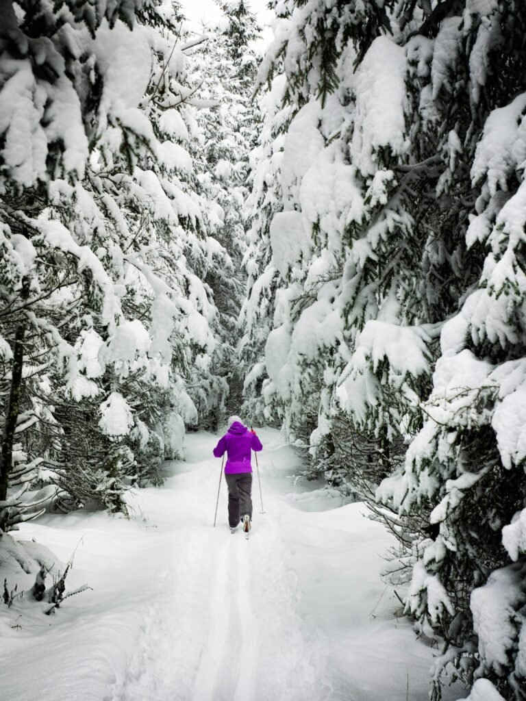 Woman on Snow Ground in the Forest With Rods