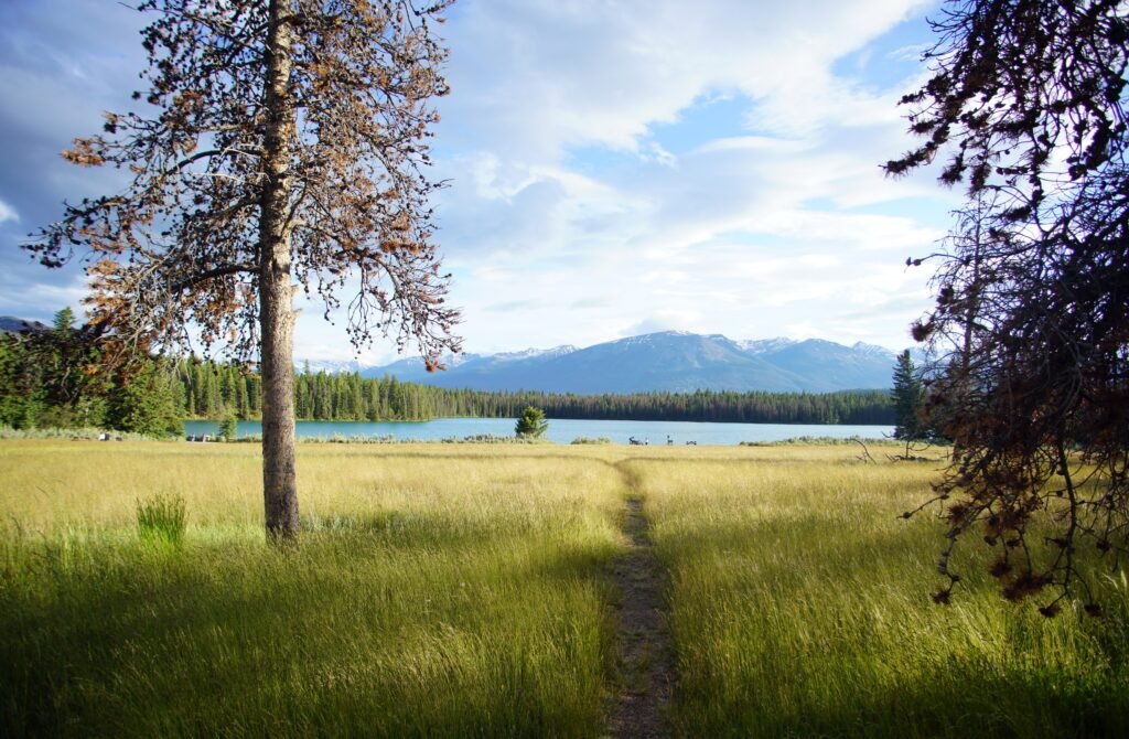 a image of a lake, mountain at the back, green trees and field