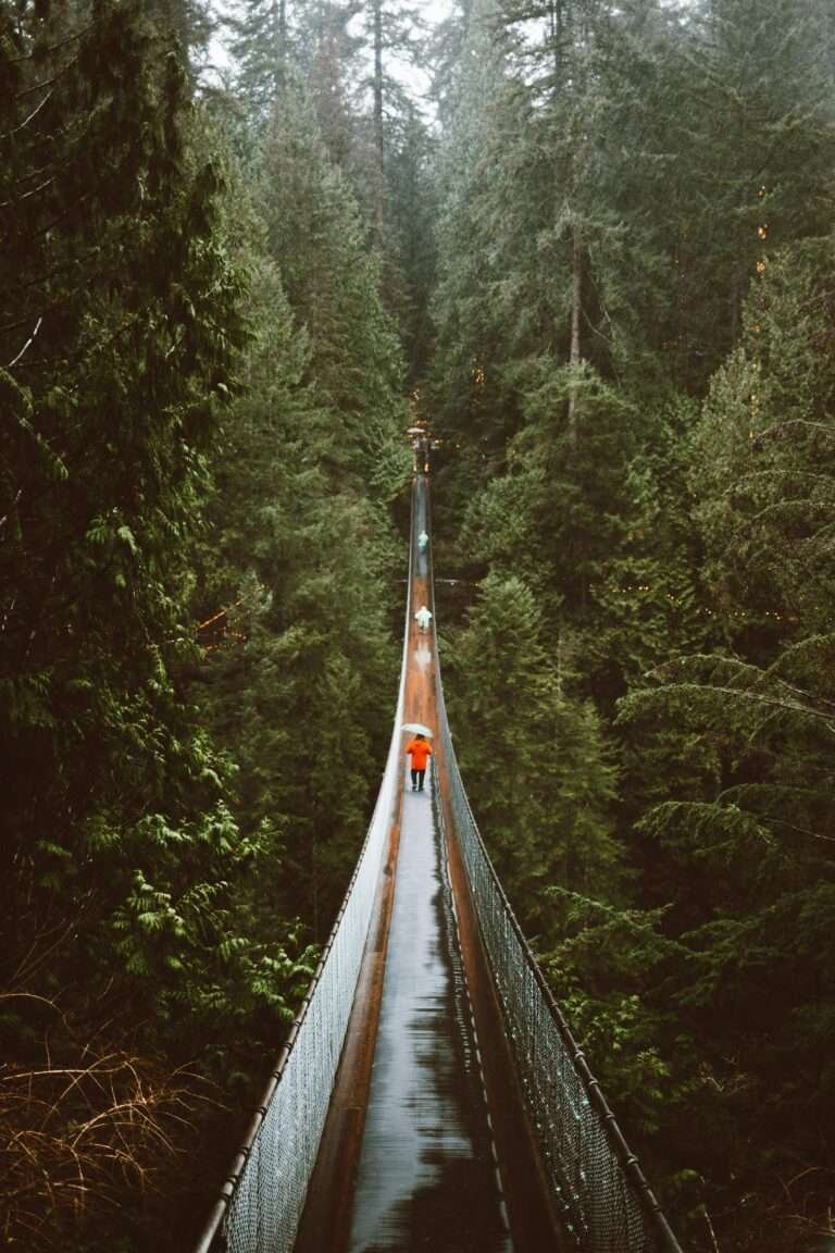 A person crosses a scenic suspension bridge surrounded by dense forest in North Vancouver, Canada.