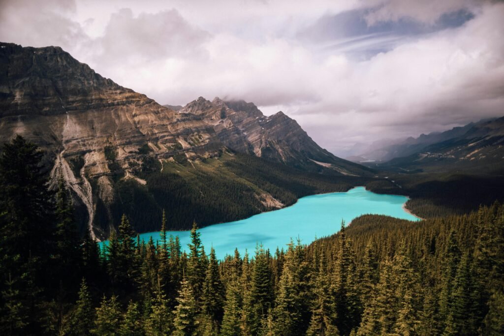 Stunning view of turquoise Peyto Lake surrounded by mountains and forests in Alberta, Canada.