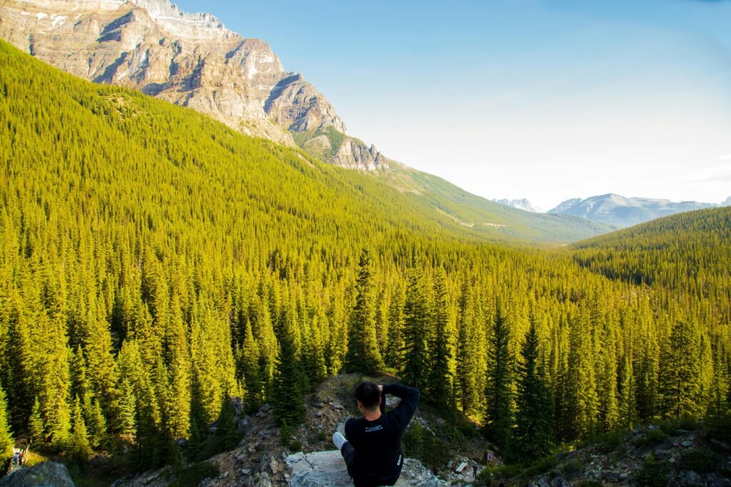 Back view of anonymous man sitting on rock and taking photo of spectacular landscape of mountains covered with spruce forest in sunny day